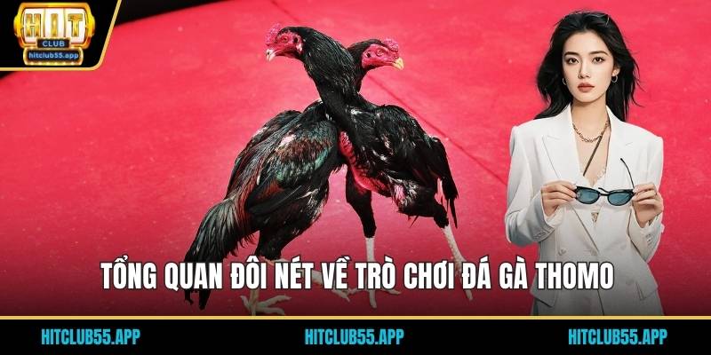Đá Gà Thomo - Trực Tiếp Hấp Dẫn Và Kịch Tính Đỉnh Cao 2026 1 Tổng quan đôi nét về trò chơi đá gà thomo