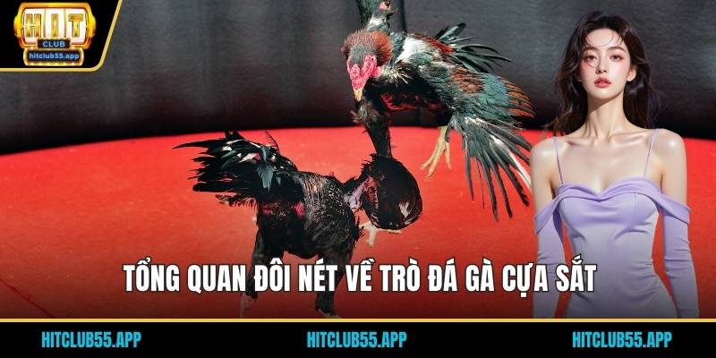 Đá Gà Cựa Sắt - Trải Nghiệm Siêu Cuốn Hút Tại Trang Hit Club 1 Tổng quan đôi nét về trò đá gà cựa sắt